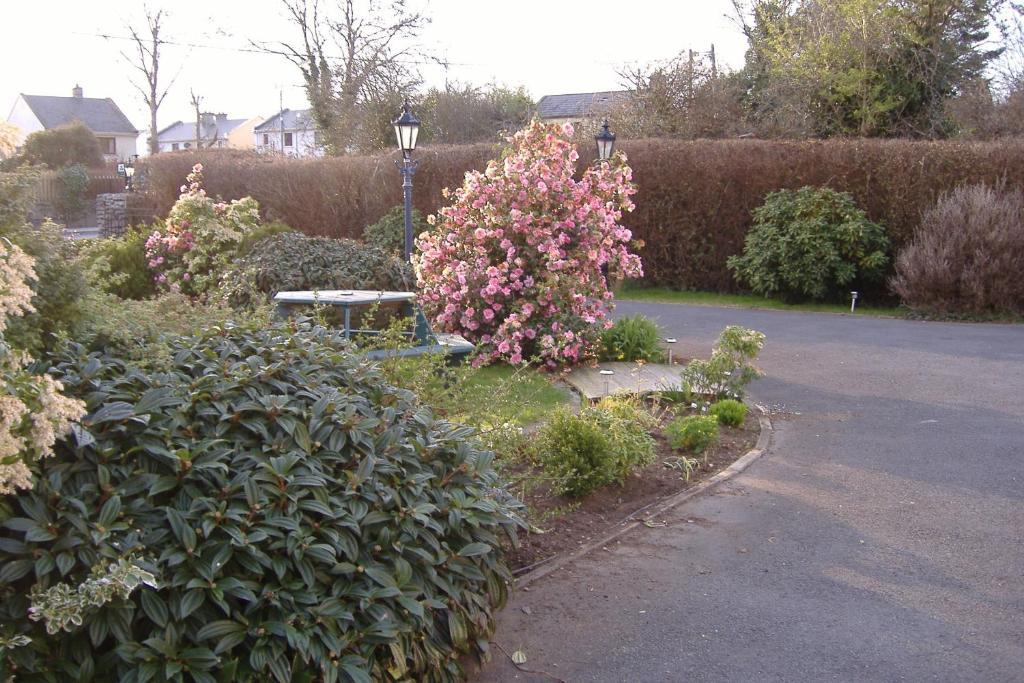 Riverwalk House B&B Oughterard Buitenkant foto