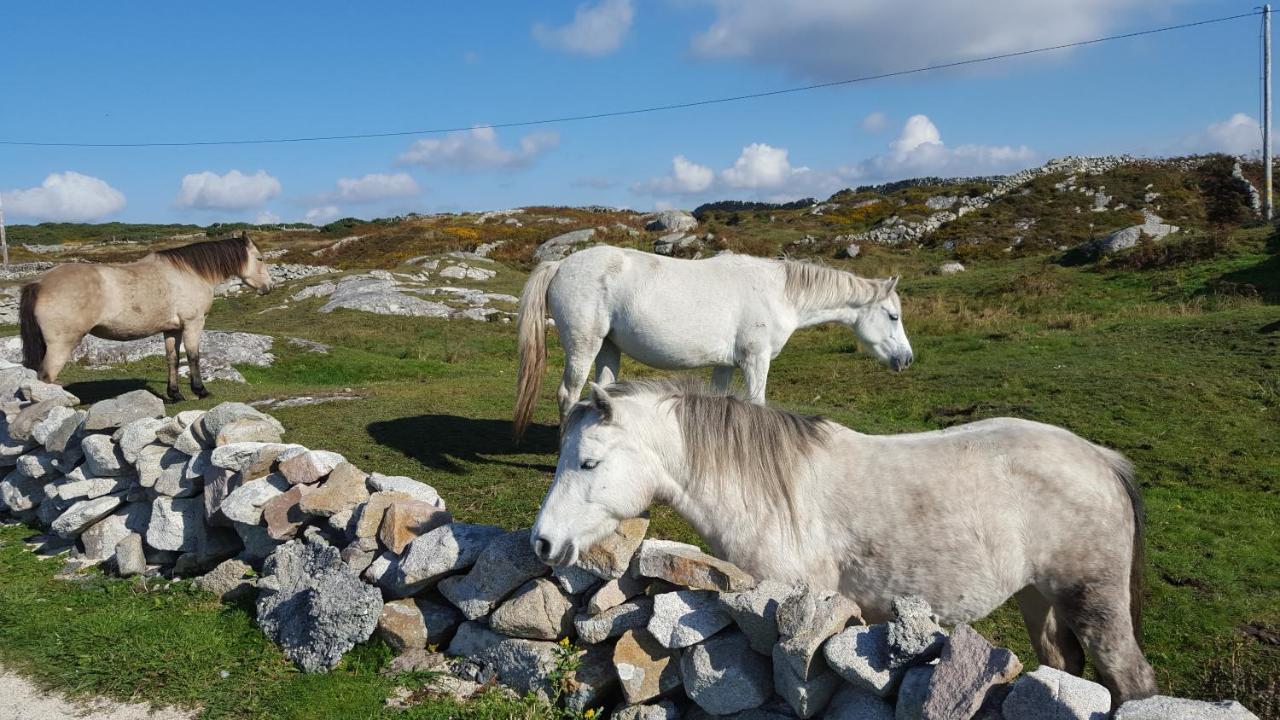 Riverwalk House B&B Oughterard Buitenkant foto